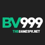 BV999 Game logo